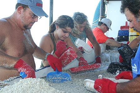Emerald Sifting on the Atocha