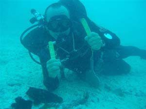 Gold Bars, Atocha, MSNBC Story